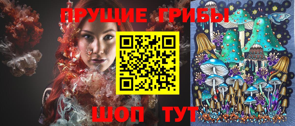 Галлюциногенные грибы мицелий  Вход с VPN  Карпинск 