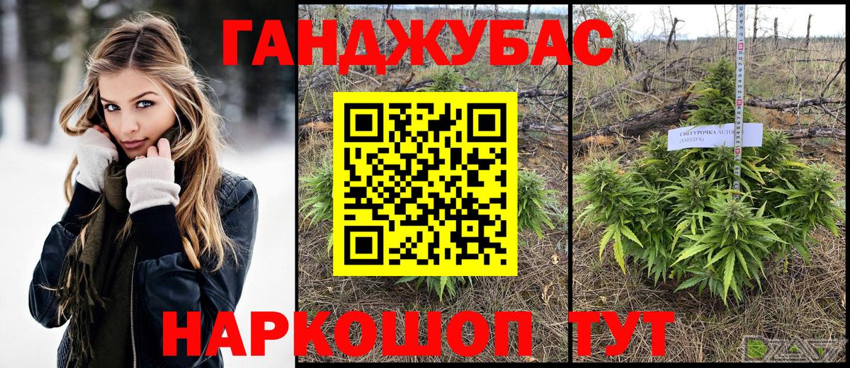 Каннабис конопля  Бошки Шишки планчик  Бошки марихуана VHQ  Карпинск  Вход с VPN 